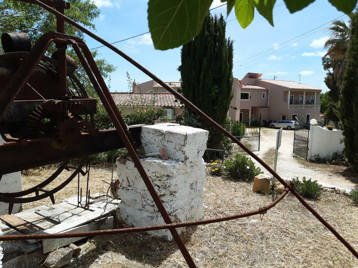 Casa Rosa Montes Hotel Luz Екстериор снимка